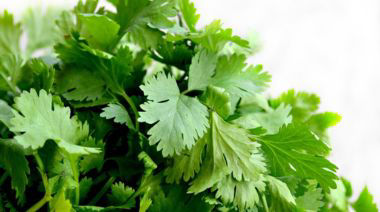 garnishing-instructions-image